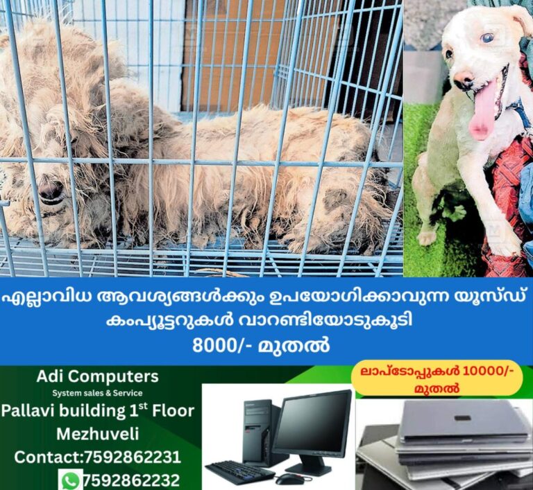 newskerala.net_1757821326_kottayam-west-polic-station-dog