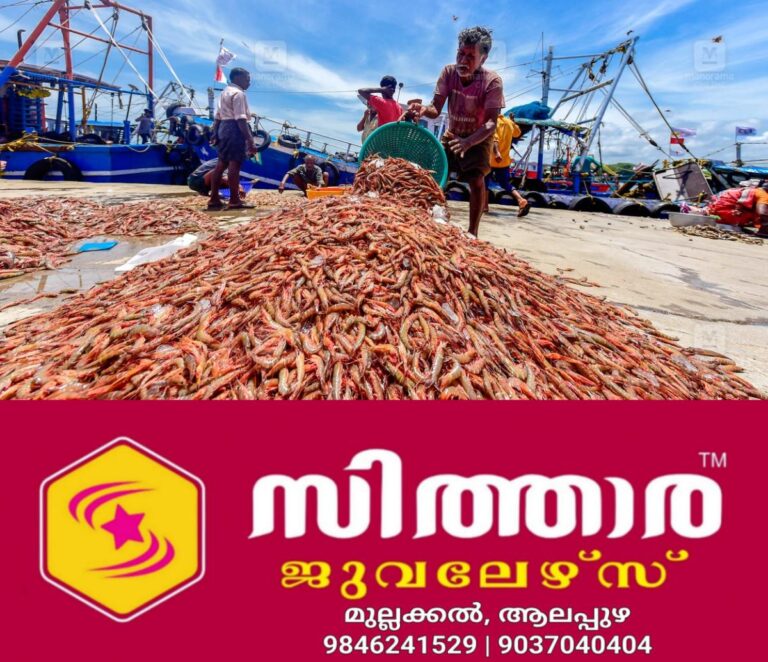 newskerala.net_1757822428_shrimp-kollam-main
