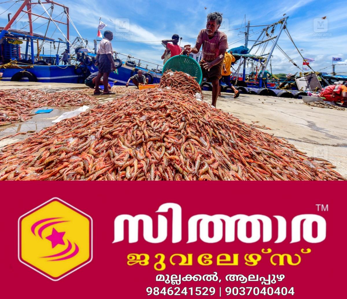 newskerala.net_1757822428_shrimp-kollam-main