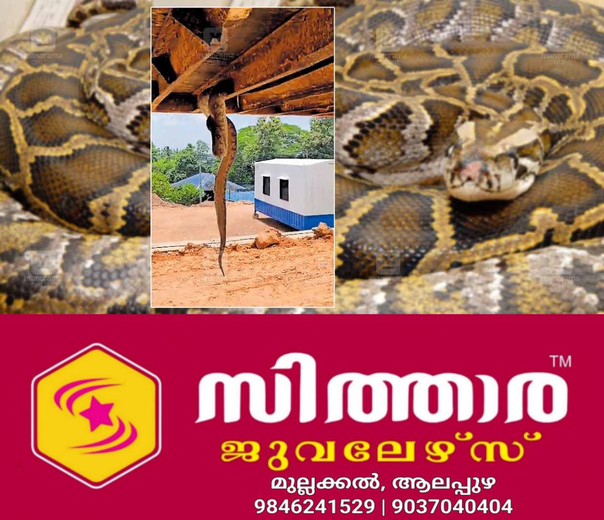 newskerala.net_1757823245_python-lorry