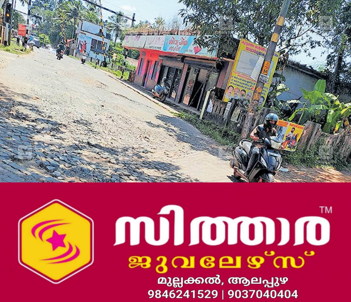 newskerala.net_1757829365_kallara-road-railway-gate