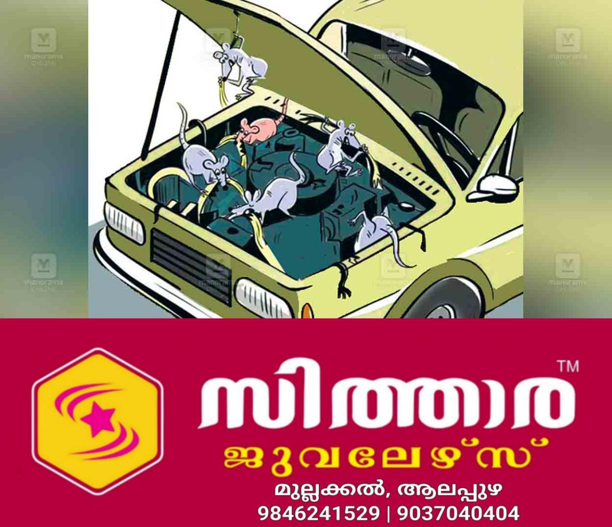 newskerala.net_1757832483_kasargod-rats-damaging-vehicles