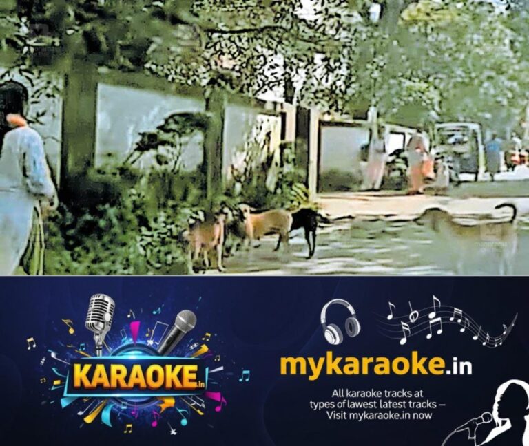 newskerala.net_1757910748_stray-dogs