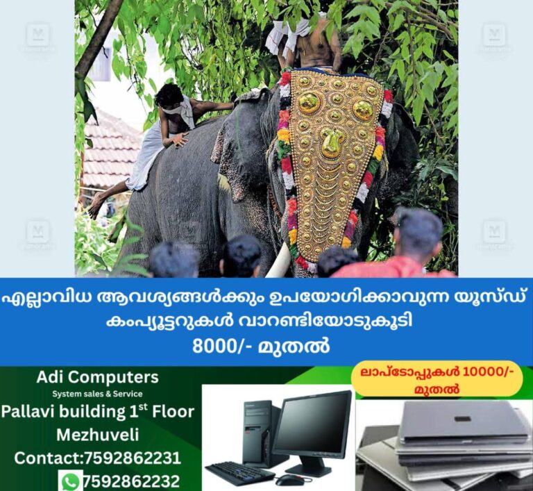 newskerala.net_1757913123_palakkad-elephant-incident