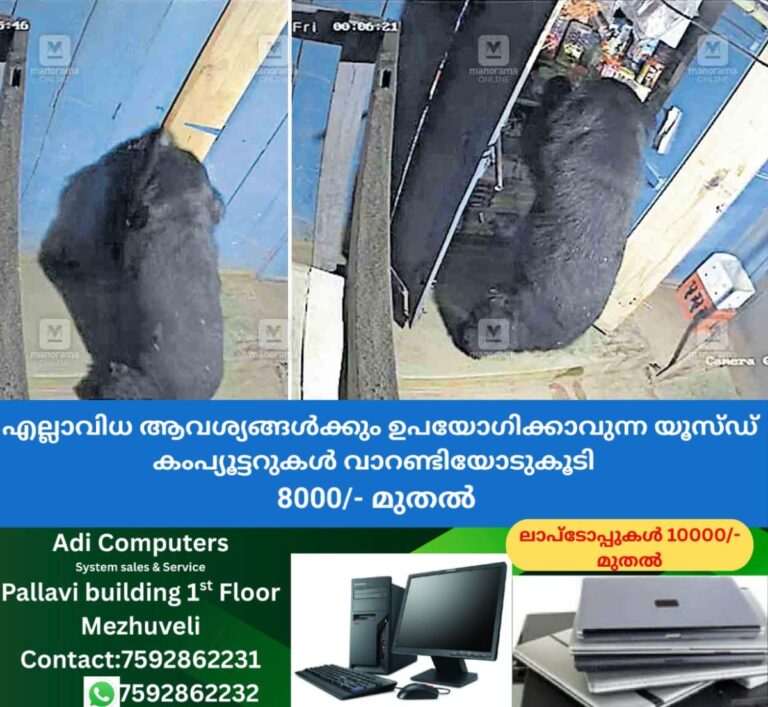 newskerala.net_1757913367_gudalur-bear1