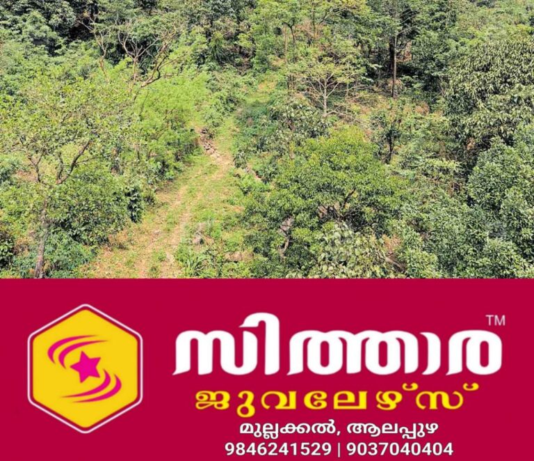 newskerala.net_1757917326_kozhikode-karinkanni-area