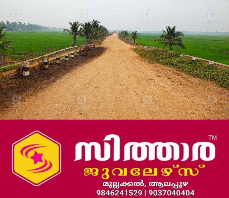 newskerala.net_1757940364_cheepunkal-maniyaparambu-road-1
