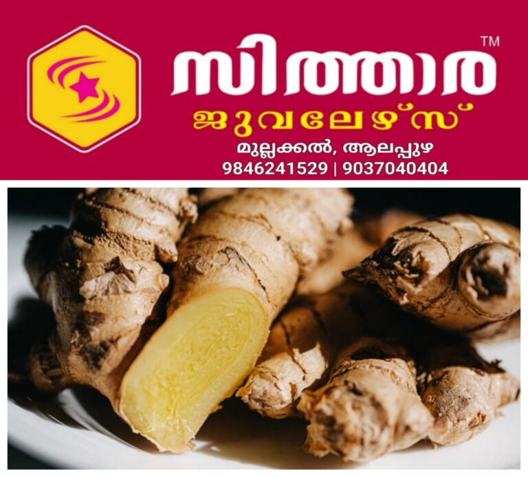 newskerala.net_1757993404_w-1280h-720format-jpgimgid-01k588tymgh7dyc2ksyfk4q9k1imgname-fotojet-2025-09-16t085410.962-175