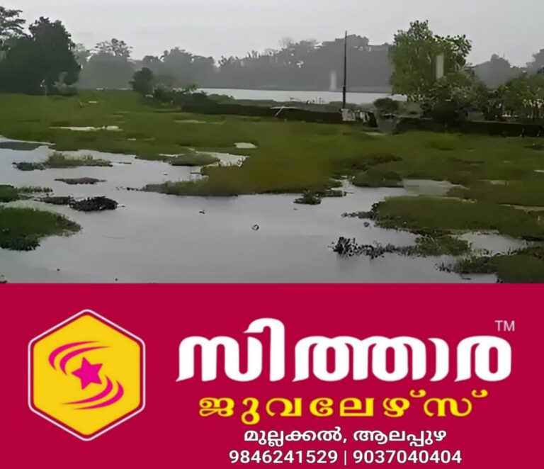 newskerala.net_1757995444_manippur-flood