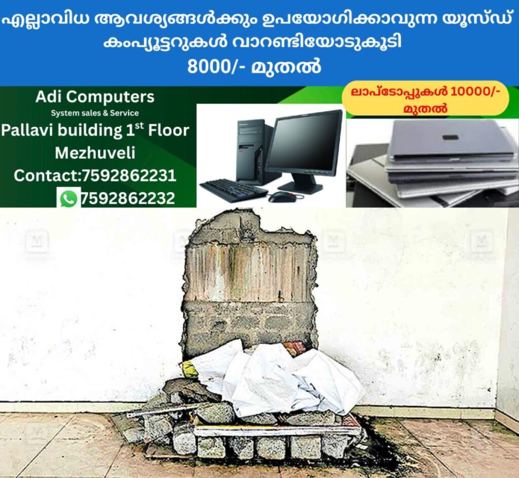 newskerala.net_1757996404_idukki-bheem