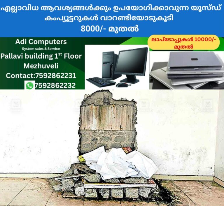 newskerala.net_1757996404_idukki-bheem
