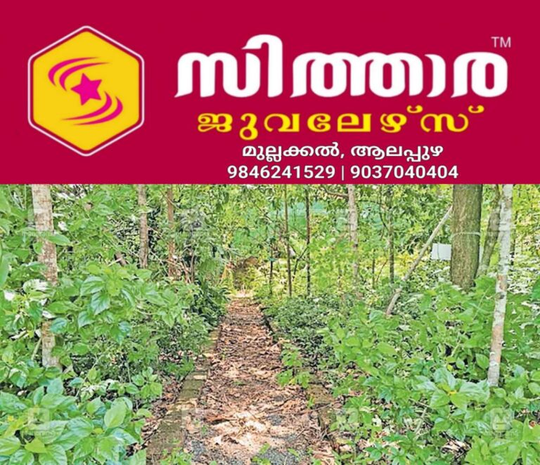 newskerala.net_1758005771_kannur-harithakeralam-mission-awards