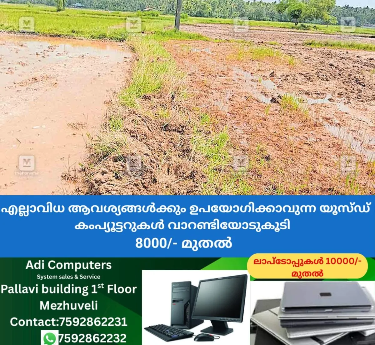 newskerala.net_1758009397_puthanchira-wild-boar