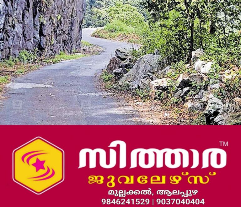 newskerala.net_1758009607_Roadside-stone