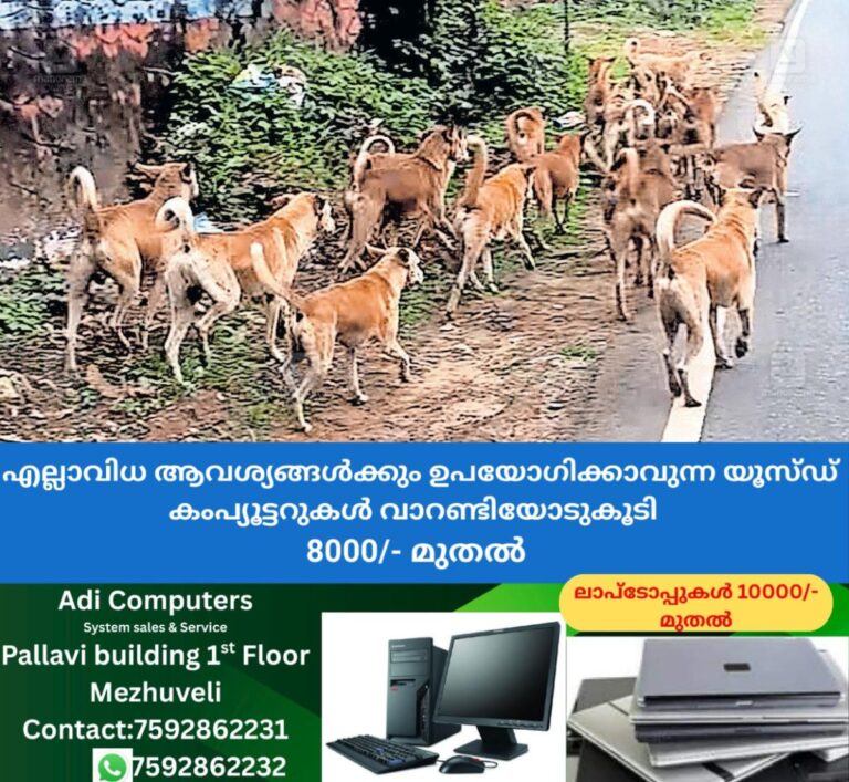 newskerala.net_1758018995_stray-dogs-charummood-1