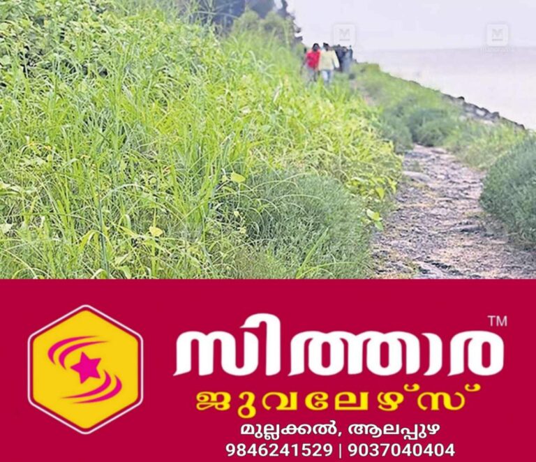 newskerala.net_1758052202_tourist-walkway-