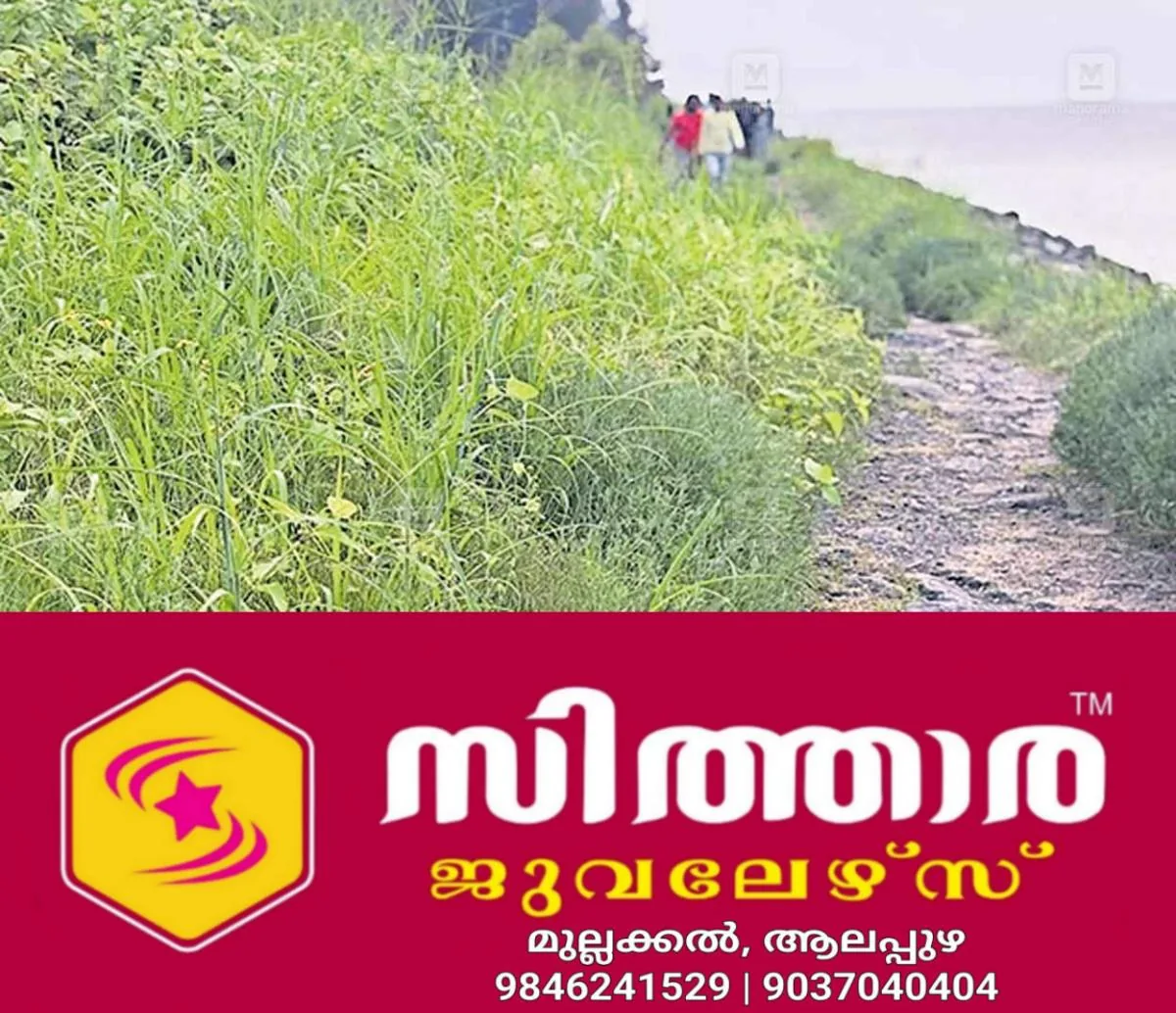 newskerala.net_1758052202_tourist-walkway-