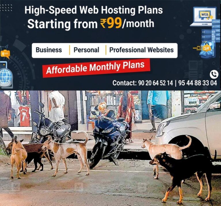 newskerala.net_1758061443_kumily-stary-dog