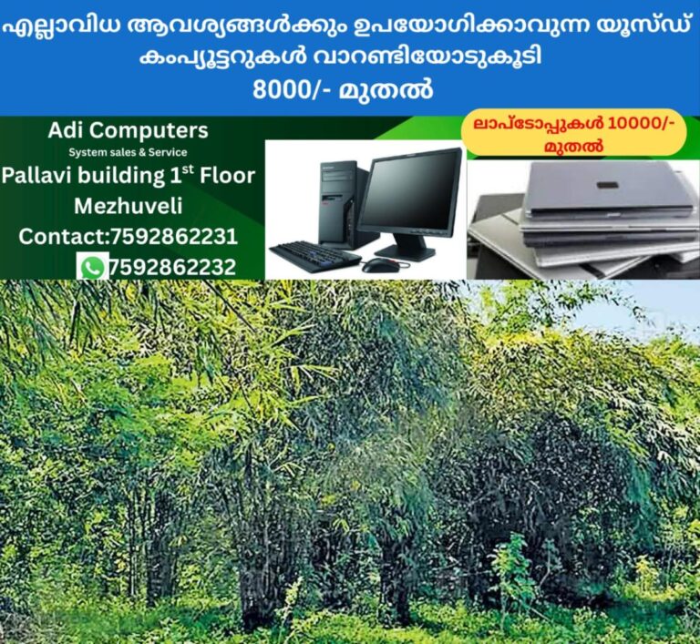 newskerala.net_1758064804_hill-rock