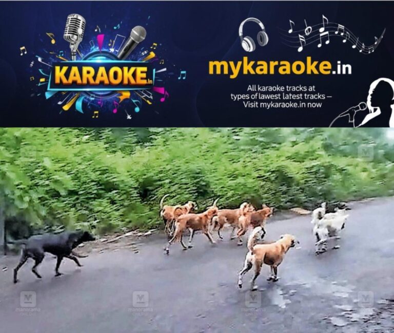 newskerala.net_1758068162_neerikode-stray-dogs