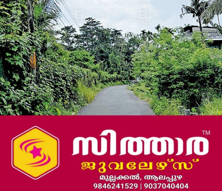 newskerala.net_1758072363_kalady-kaipattur-road