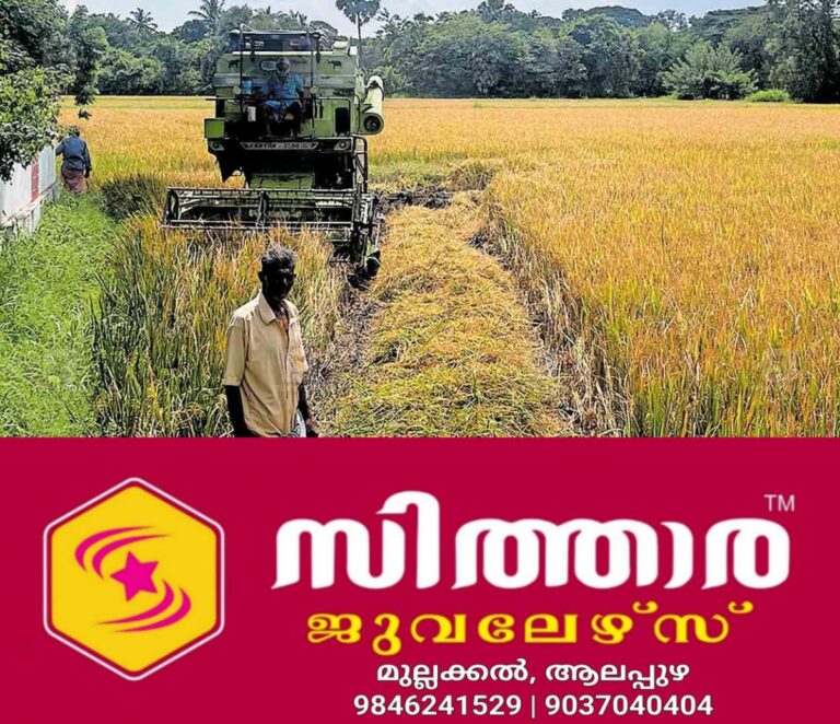 newskerala.net_1758087245_palakkad-paddy-harvesting
