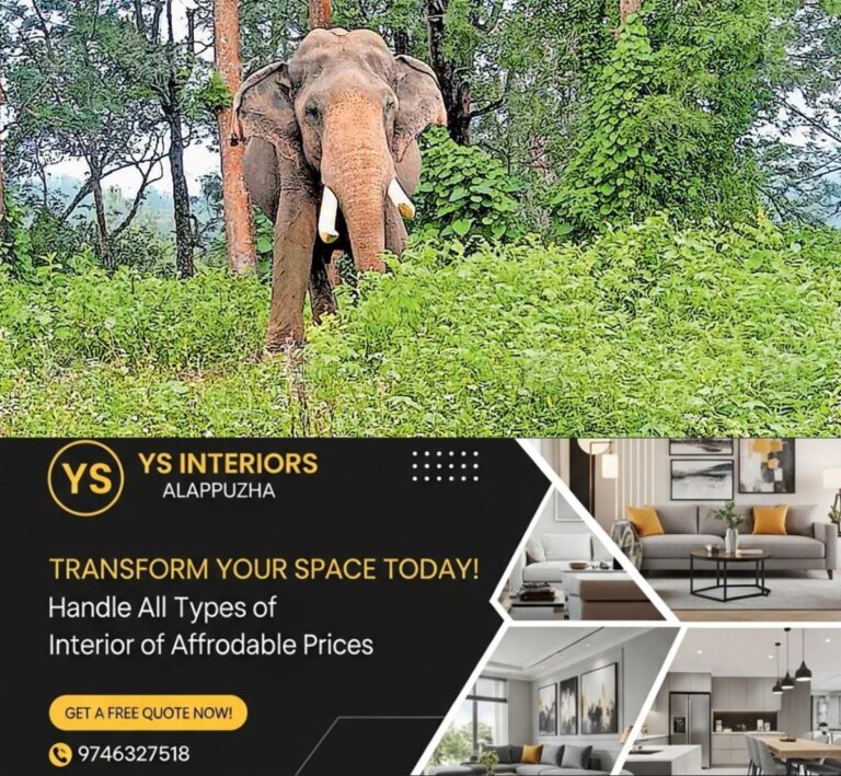 newskerala.net_1758167166_1758167067_wild-elephant