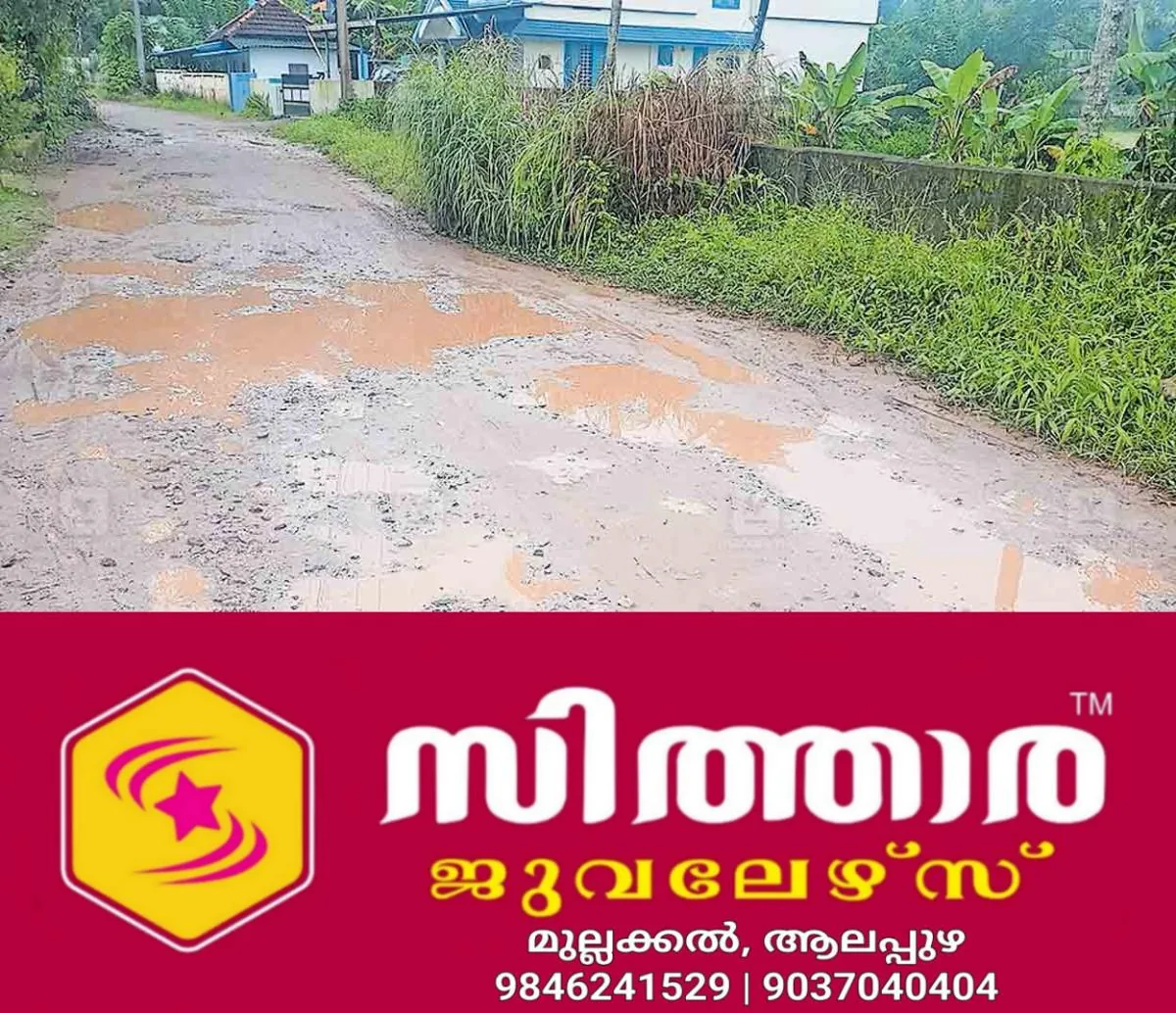 newskerala.net_1758178277_kollam-pothole-alakkal-edayadi-road