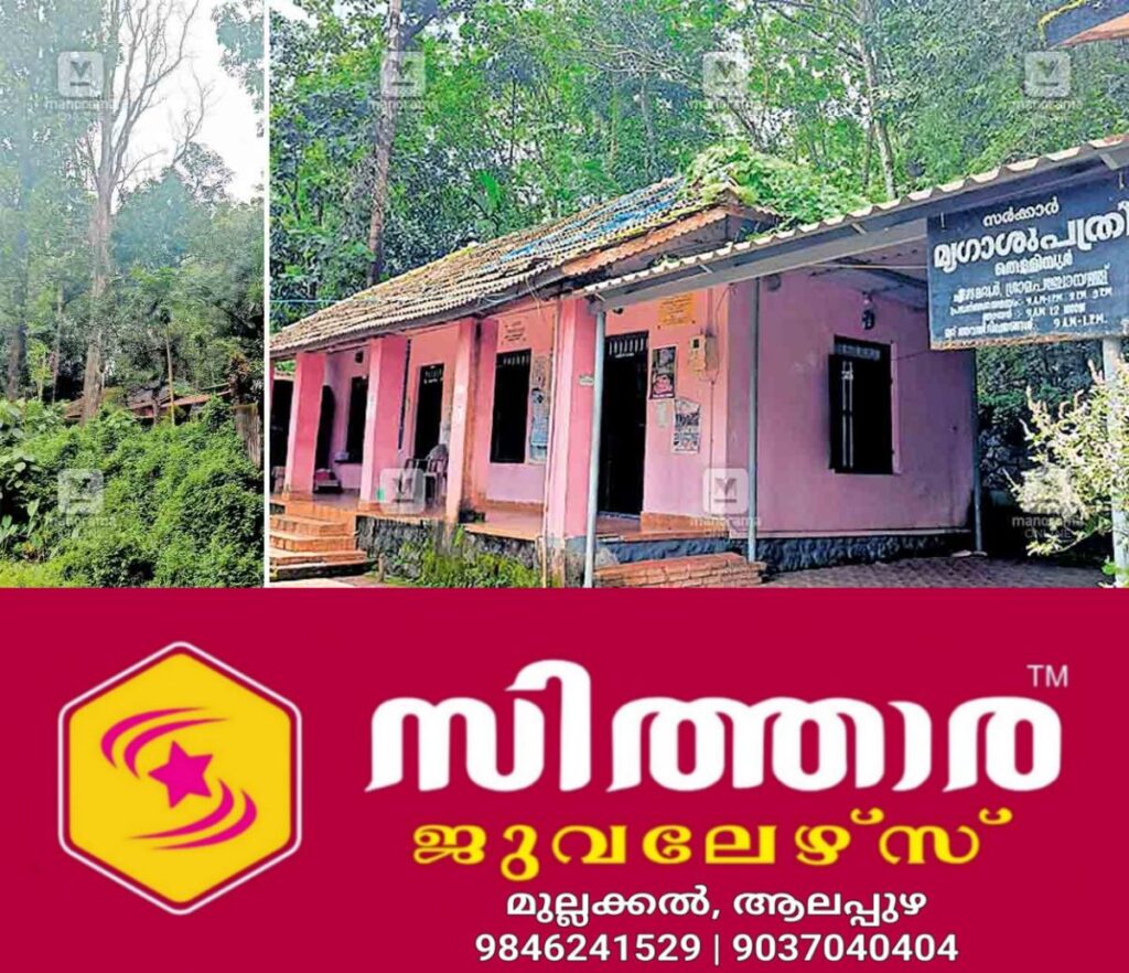 newskerala.net_1758180862_thelliyur-vet1