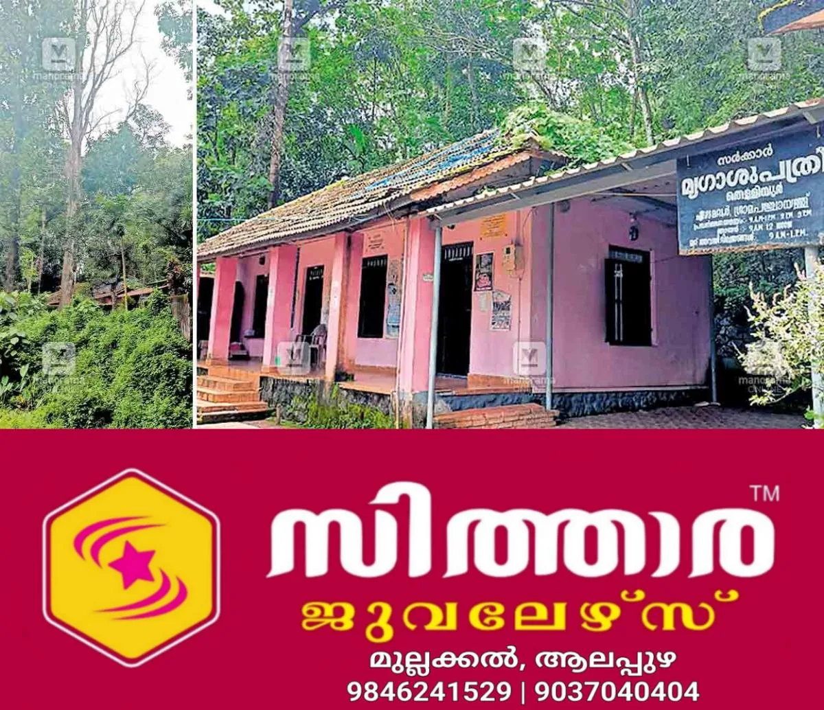 newskerala.net_1758180862_thelliyur-vet1