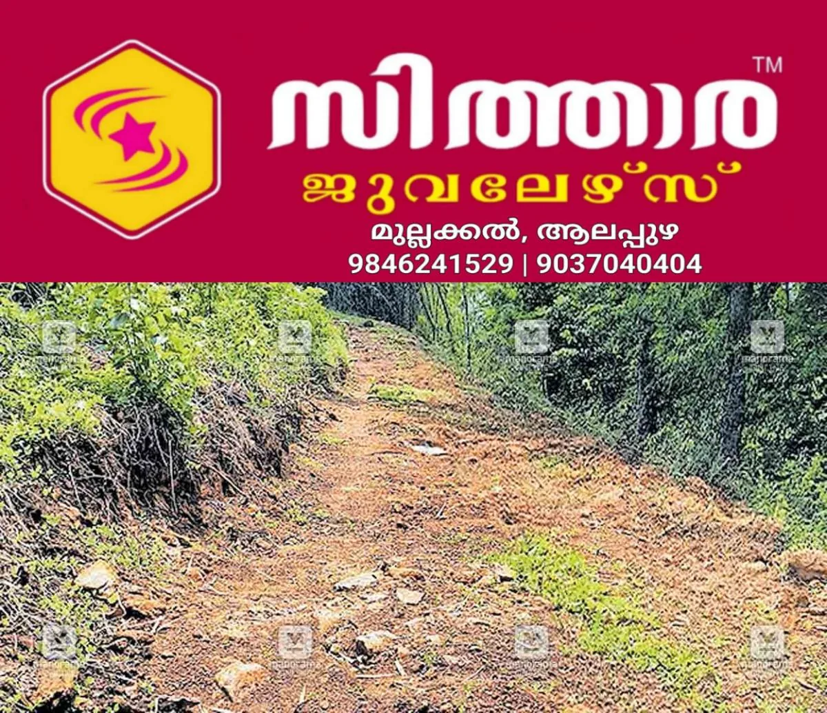 newskerala.net_1758181101_athitappally-elephant-issue