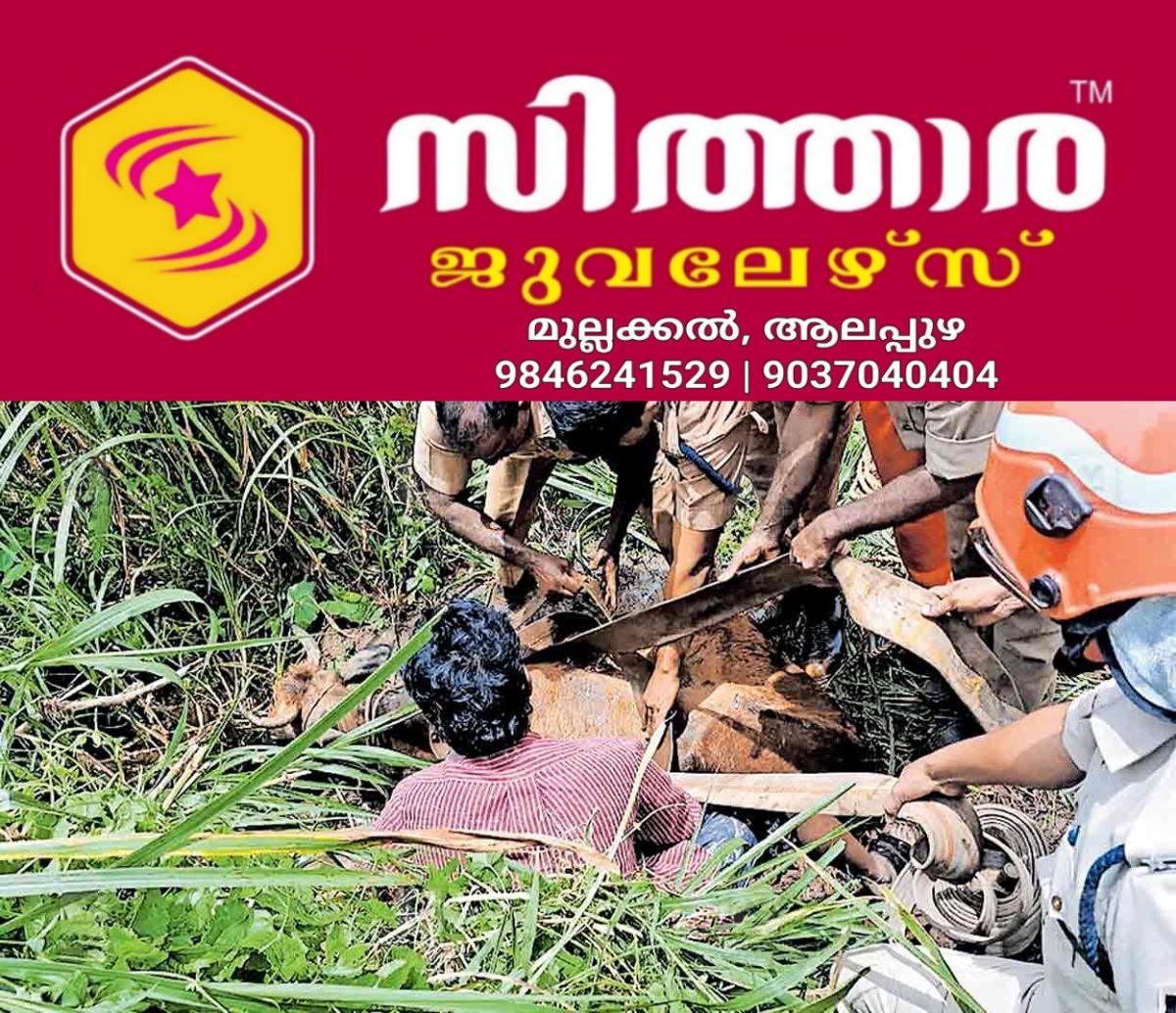 newskerala.net_1758185069_cow-rescue