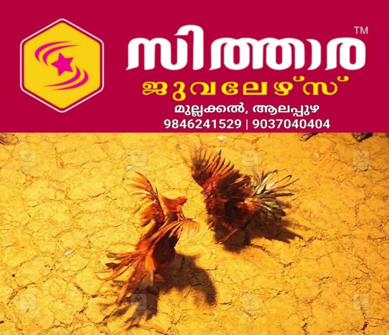 newskerala.net_1758188320_cockfighting-1