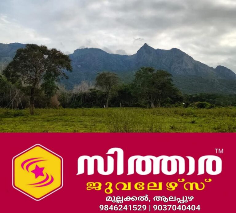 newskerala.net_1758195985_w-1280h-720format-jpgimgid-01k5e9nkqhhr06a1c9c9j8mf85imgname-nilgiris-1758195273457