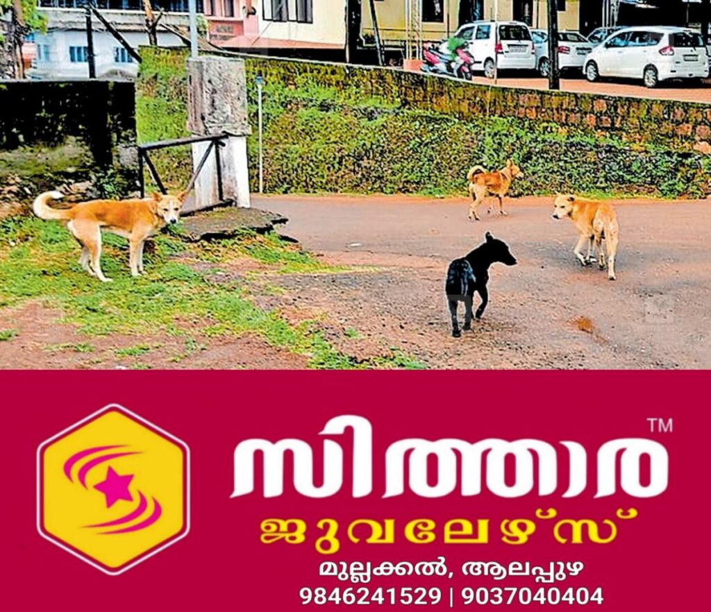 newskerala.net_1758231510_rajapuram-stray-dogs