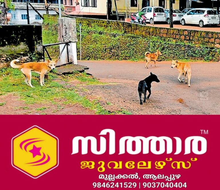 newskerala.net_1758231510_rajapuram-stray-dogs
