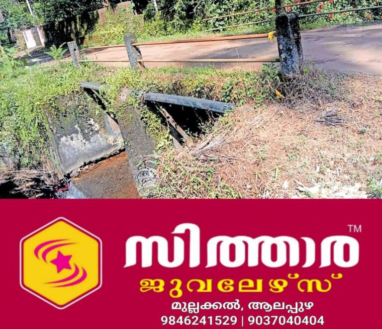 newskerala.net_1758233544_mavenny-bridge