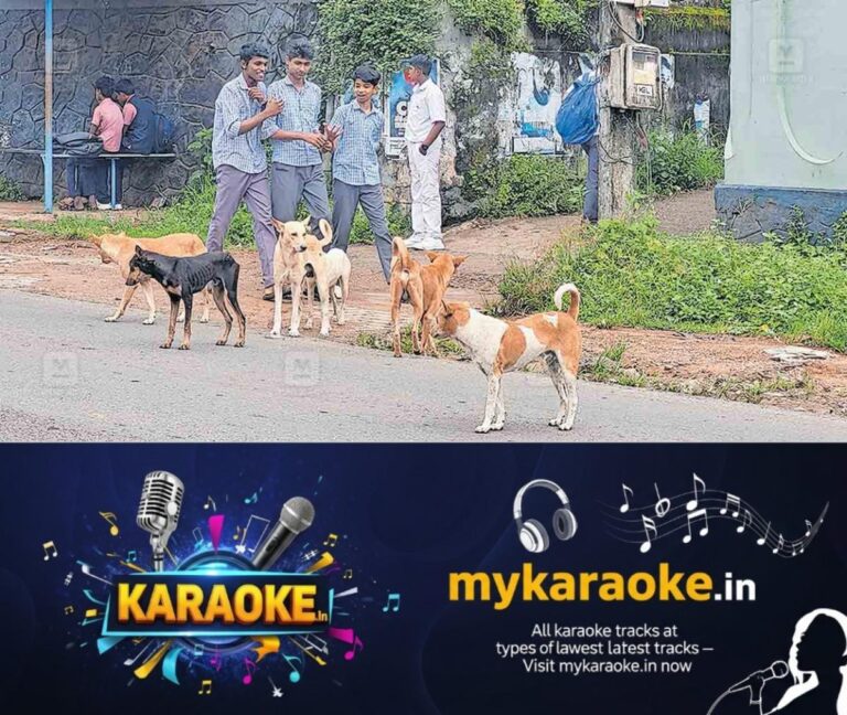 newskerala.net_1758259344_alappuzha-stray-dogs-nooranad