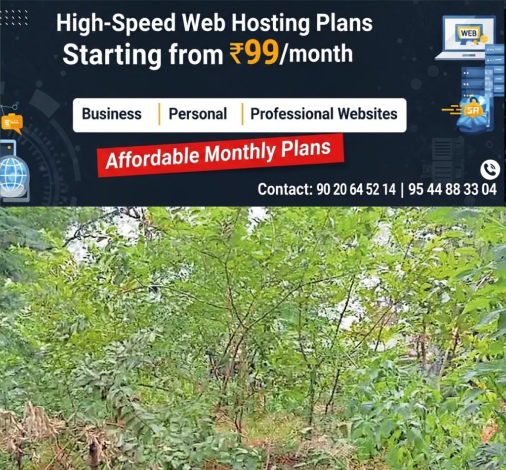 newskerala.net_1758343449_Poonkavanam-Pachathuruth
