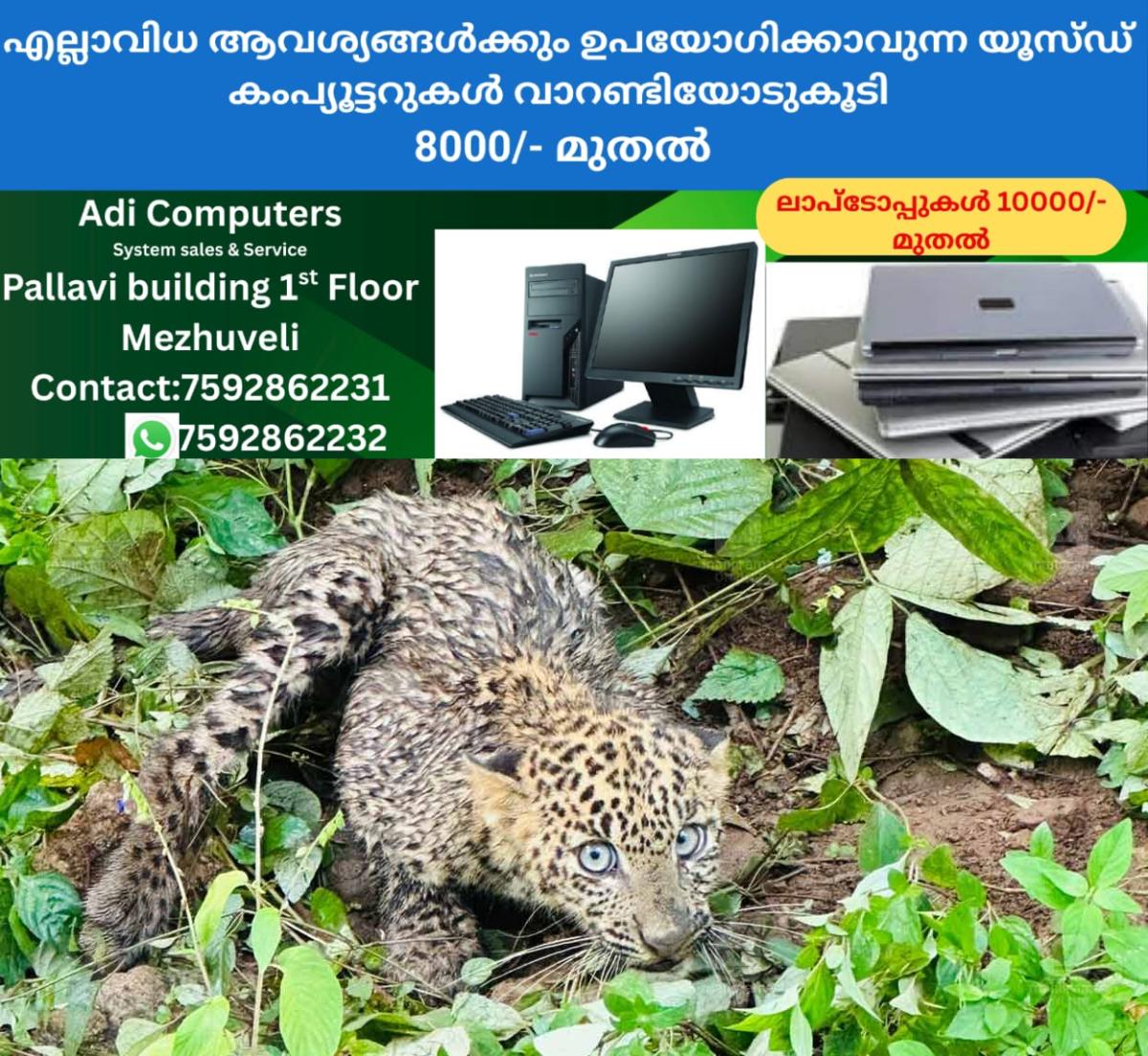 newskerala.net_1758347043_leopard-cub-found-in-malampuzha-2
