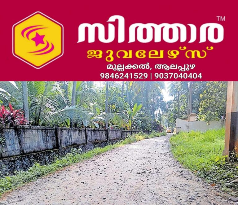 newskerala.net_1758350545_meppadam-road