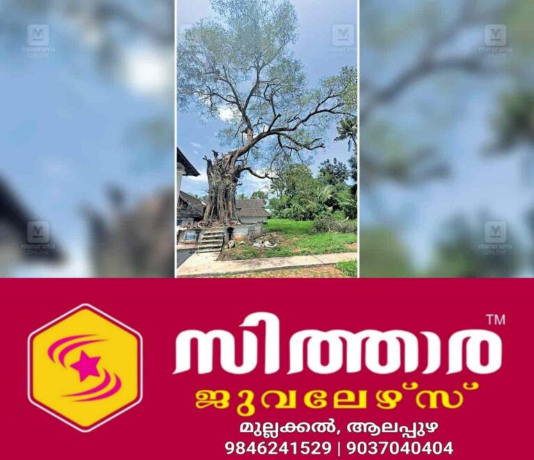 newskerala.net_1758354662_anadhapuram-tree-treatment-