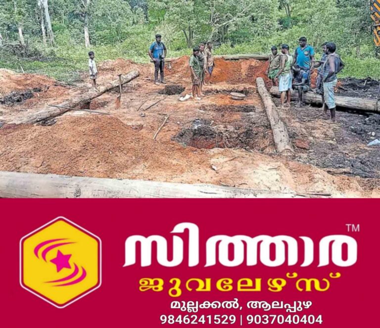 newskerala.net_1758439024_wayanad-wild-elephant-balakrishnan-elephant-enclosure-abhayaranyam-elephant-camp