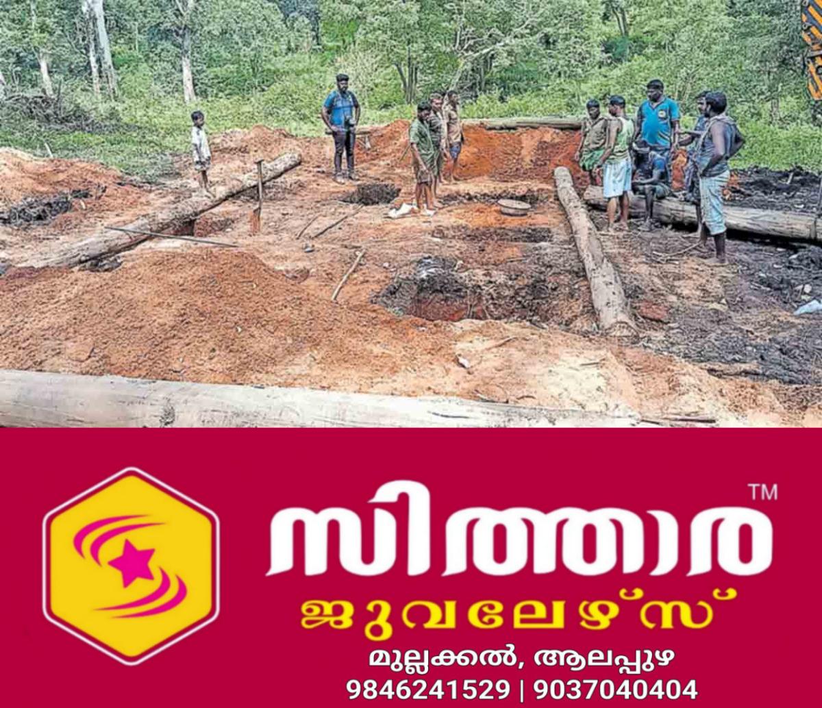 newskerala.net_1758439024_wayanad-wild-elephant-balakrishnan-elephant-enclosure-abhayaranyam-elephant-camp