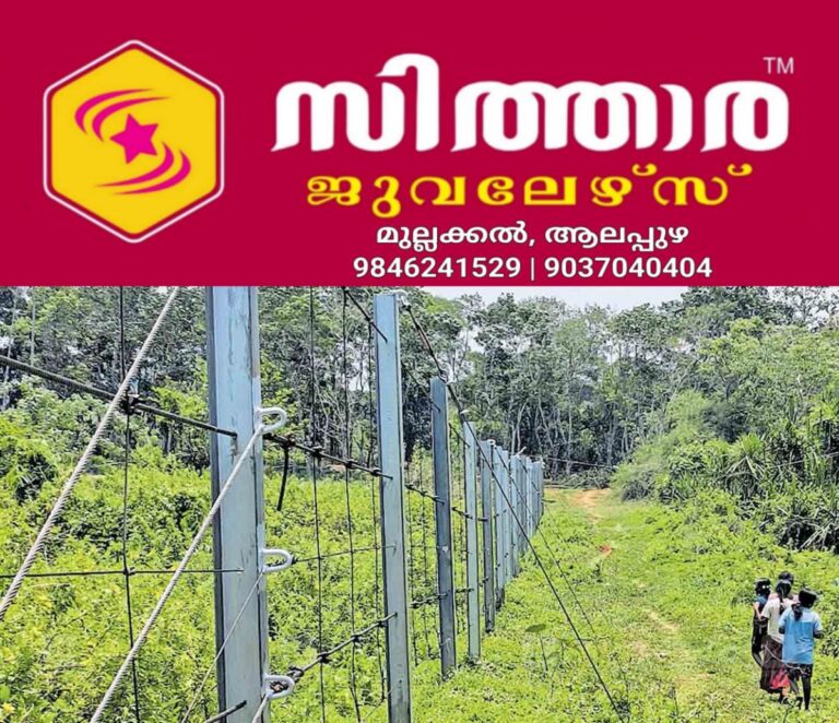 newskerala.net_1758441183_wayanad-crash-guard-rope-fencing