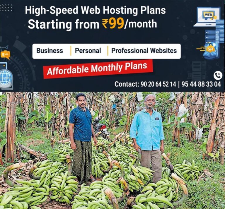 newskerala.net_1758442825_thrissur-banana-cultivation