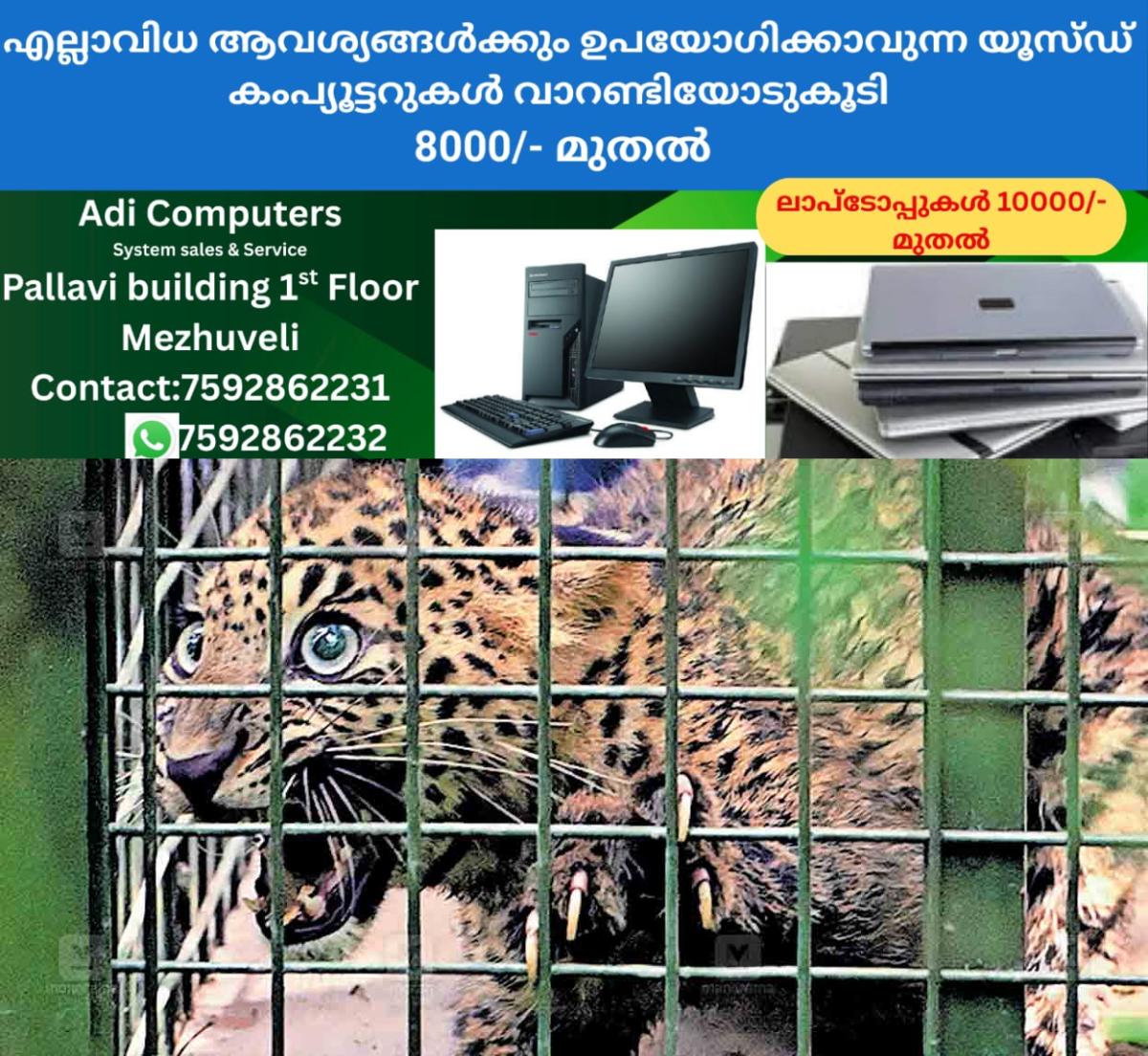 newskerala.net_1758447123_palakkad-baby-lepopard
