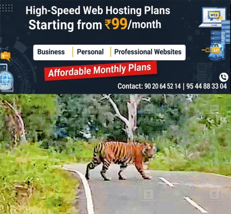newskerala.net_1758520945_muthumala-tiger