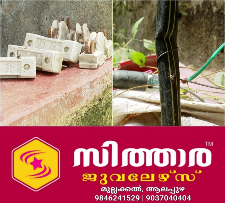 newskerala.net_1758525663_w-1280h-720format-jpgimgid-01k5r45bf743gyhw53jakkw0rbimgname-fotojet-15-1758525042151