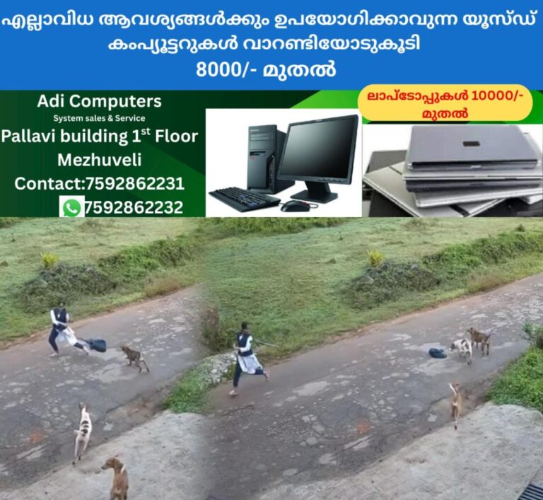 newskerala.net_1758527662_stray-dog-attack-student-2